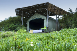 Hopewell Nyosi Camp (7)