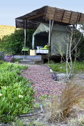 Hopewell Nyosi Camp (5)