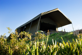 Hopewell Nyosi Camp (1)