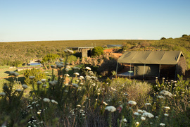 Hopewell Nyosi Camp (7)