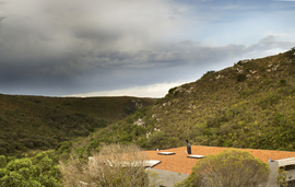Plot 5