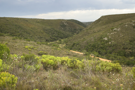 Plot 8