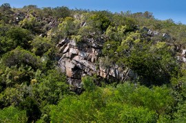 Landscape 12