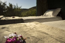 Nyosi Camp (7)