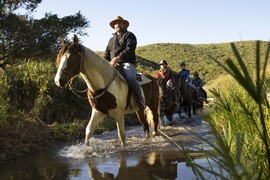 Horse Safari (4)