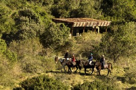Horse Safari (6)