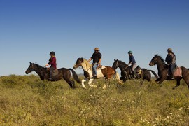 Horse Safari (10)