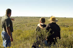 Walking Safari (1)