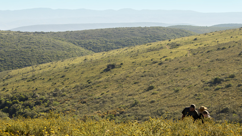 Walking Safari (2)