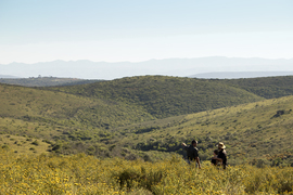 Walking Safari (3)