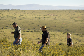 Walking Safari (4)