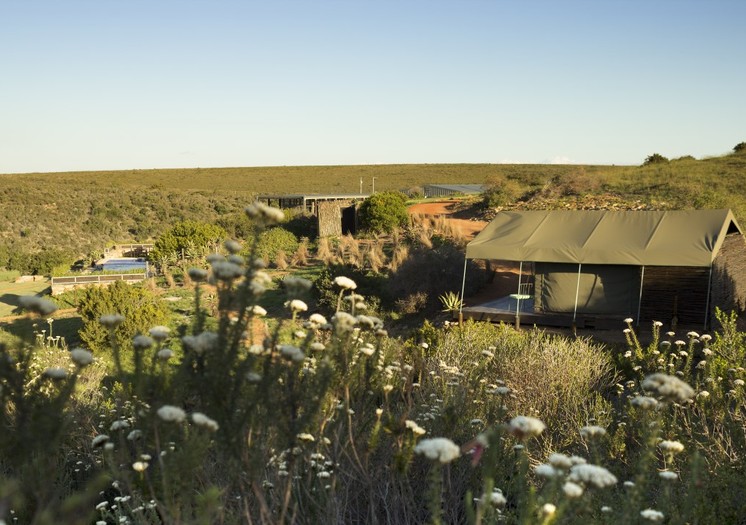 Hopewell Glamping Tent With Pool Vineyard Clubhouse