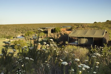 Hopewell Glamping Tent With Pool Vineyard Clubhouse