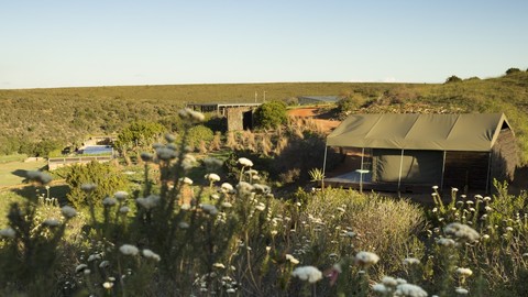 Hopewell Glamping Tent With Pool Vineyard Clubhouse